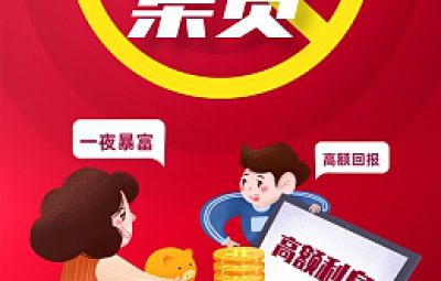 农、林业犯法集资的大局特点