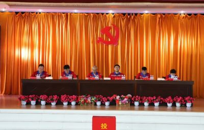 pg麻将胡了党委换届选举党员大会成功召开